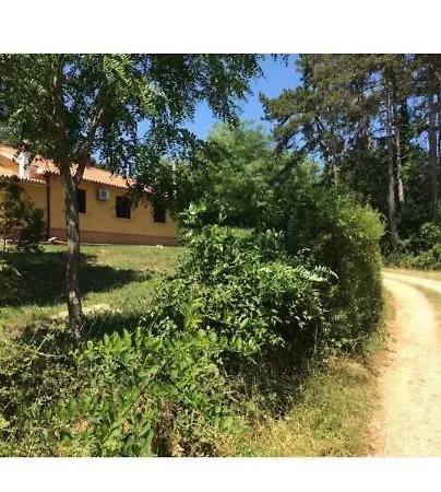 Dom wakacyjny Haus Allegra